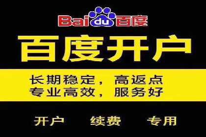 专业sem竞价托管服务，案例解析提升广告效果
